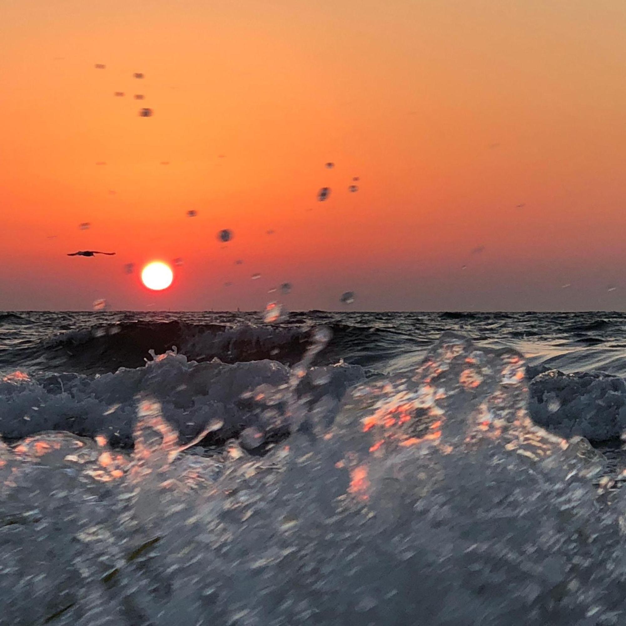 Suedstrand-Ferienwohnung-Suhr Burgtiefe auf Fehmarn エクステリア 写真